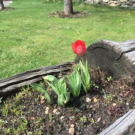 Venkovský dům Artesano I Y Iii *