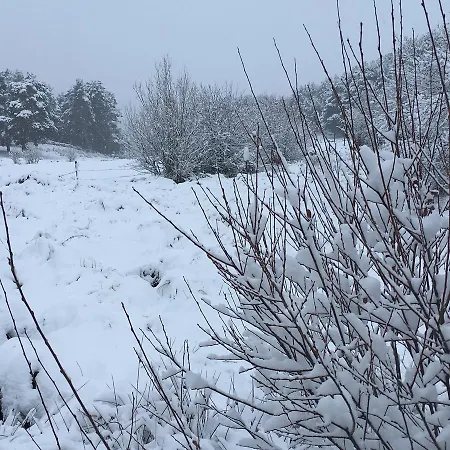 Kır Evi Artesano I Y Iii