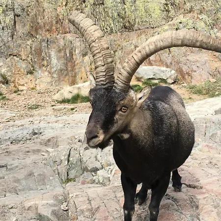 Kır Evi Artesano I Y Iii Navarredonda de Gredos