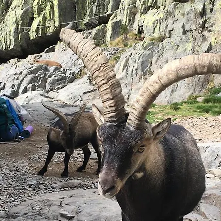 Εξοχικό σπίτι Artesano I Y Iii