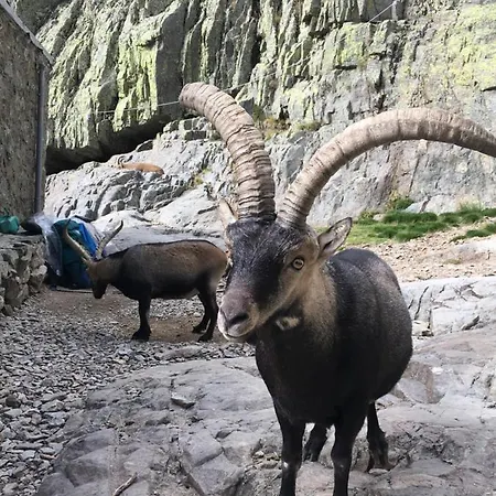 Artesano I Y Iii * Navarredonda de Gredos