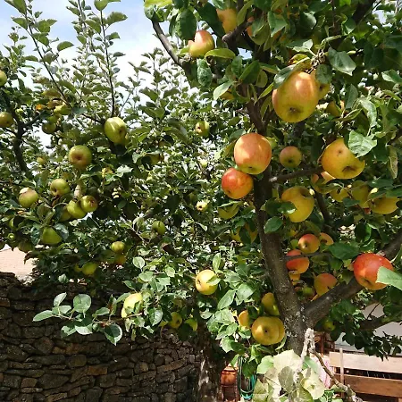 Εξοχικό σπίτι Artesano I Y Iii *