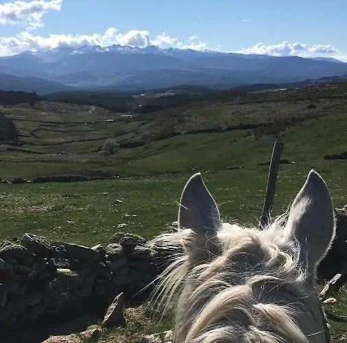 Artesano I Y Iii 나바레돈다 데 그레도스