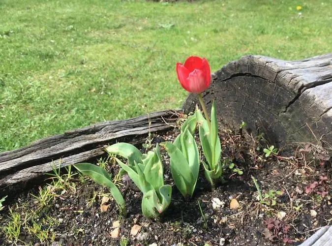 컨트리하우스 Artesano I Y Iii *