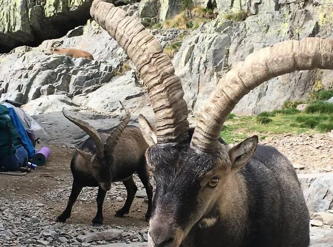 컨트리하우스 Artesano I Y Iii