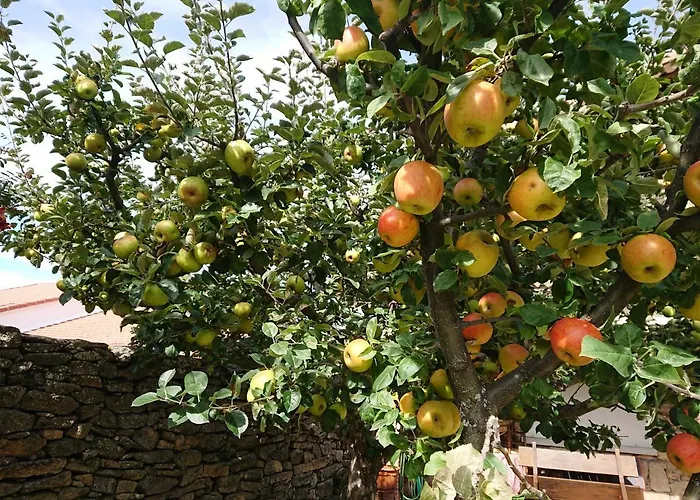 컨트리하우스 Artesano I Y Iii *